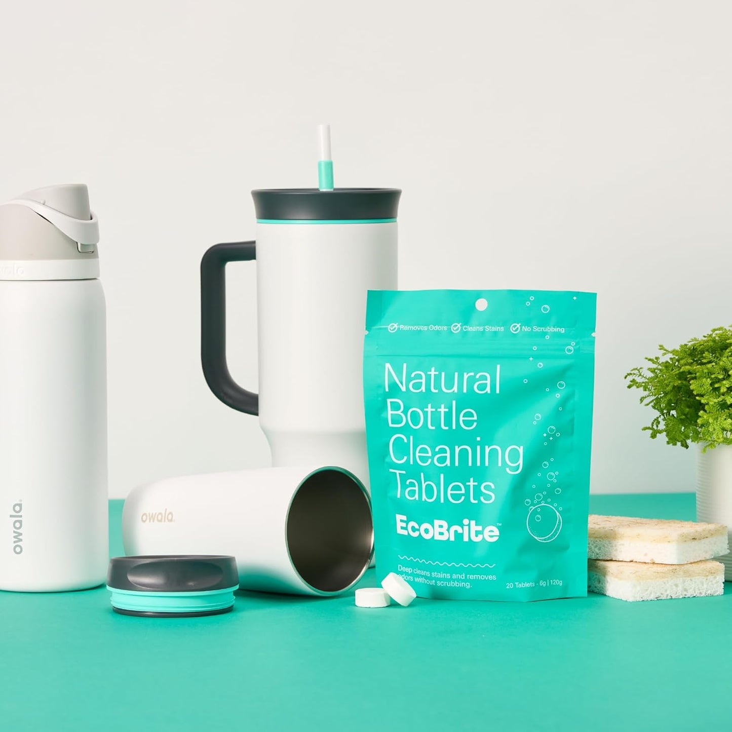 Bottle Cleaning Tablets