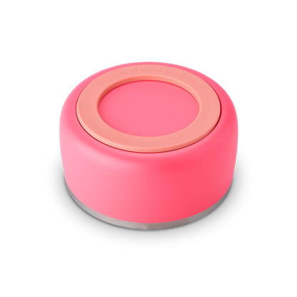Pet Bowl