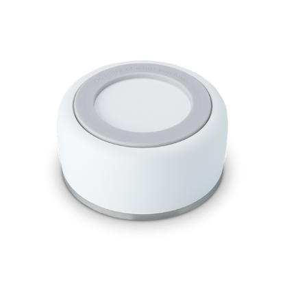 Pet Bowl